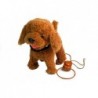 Interactive Dog On a Leash with Dog House Poodle