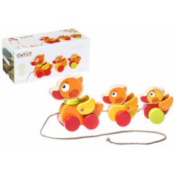 Wooden Ducks on a string...