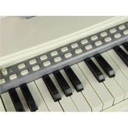Electric Pianino Organ Blue with Chair 25 Keys