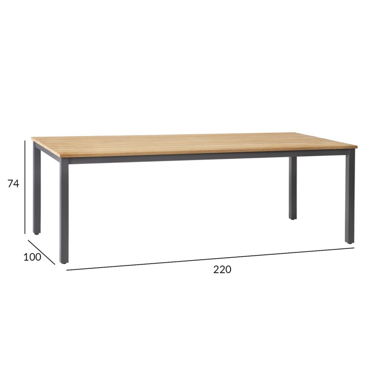 Table MONTANA 220x100xH74cm