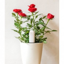 Xiaomi Mi Flower Care Plant Sensor