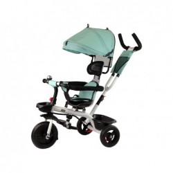 Tricycle PRO200 Mint Canopy...