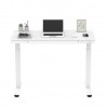 Desk ERGO with 1 motor 120x60xH72-121cm, white