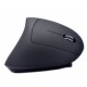Chargeable Ergonomic (vertical) mouse, wireless