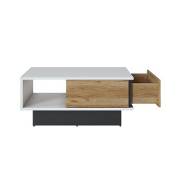 Coffee table SALINAS 100x64xH46cm