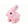 Walking Bunny Interactive Toy Short Hair Pink
