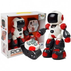 Robot Remote Controlled by...