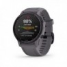 fenix 6S Pro Solar, Amethyst w/Shale Band,GPS Watch,EMEA