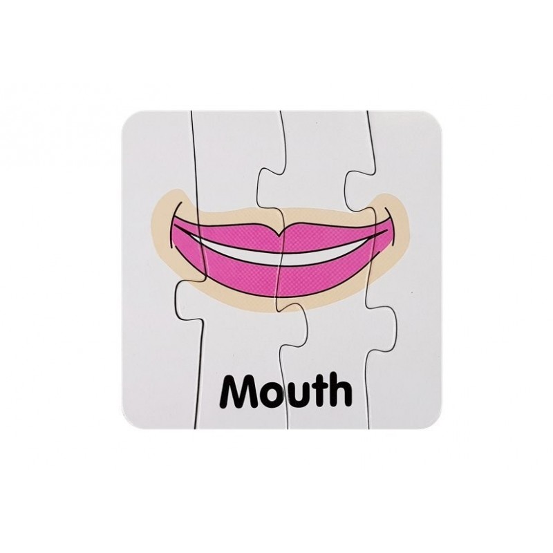 Educational Puzzle Body Parts Jigsaw Puzzle 10 English Connections