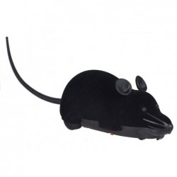 RC Mouse Toy - Make a Prank!