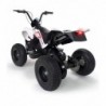 Elektrilised Quad X-Treme Dirt 24V Injusa pumbaga rattad