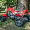 FALK Quad Racing Team Red on Pedals for 3 Years