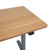 Desk ERGO LIGHT with 1 motor 120x60cm, silver grey oak