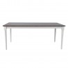 Dining table JANELLE 183x91xH75cm, grey white