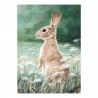 Oil painting 50x70cm, rabbit on meadow