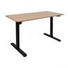 Desk ERGO LIGHT with 1 motor 120x60cm, black oak