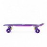 PNB01 RAINBOW ELECTROSTYLE PENNYBOARD  NILS EXTREME