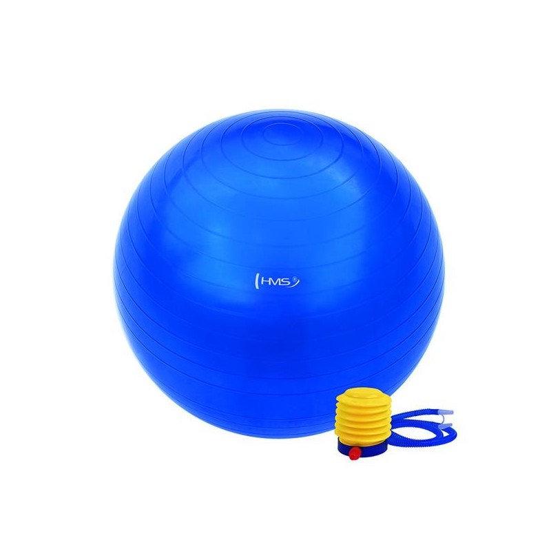 YB01 65CM GYM BALL HMS (blue)