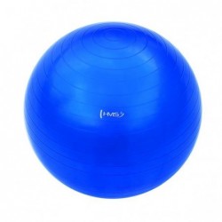 YB01 65CM GYM BALL HMS (blue)