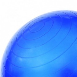 YB01 65CM GYM BALL HMS (blue)