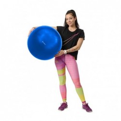 YB01 65CM GYM BALL HMS (blue)