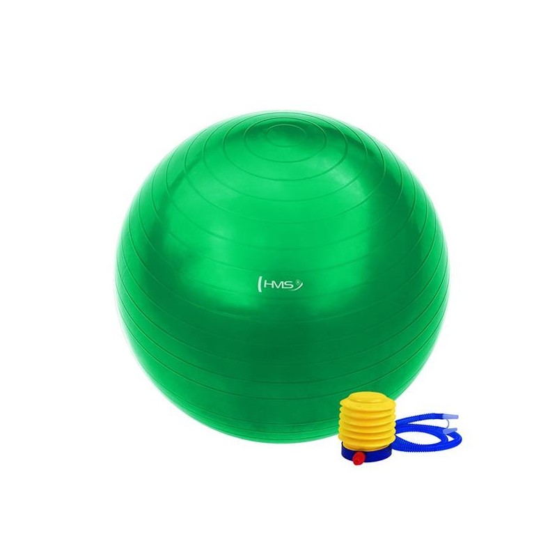 YB01 65CM GYM BALL HMS (green)