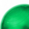 YB01 65CM GYM BALL HMS (green)