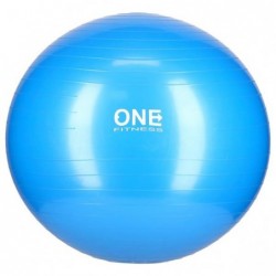 GYM BALL 10 65CM ONE (blue)