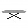 Dining table 200x100xH76cm, grey