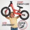 BERG Balance Bike with Handbrake Pusher CROSS BIKY