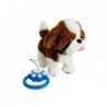 Plush dog on a leash with batteries in patches accessories