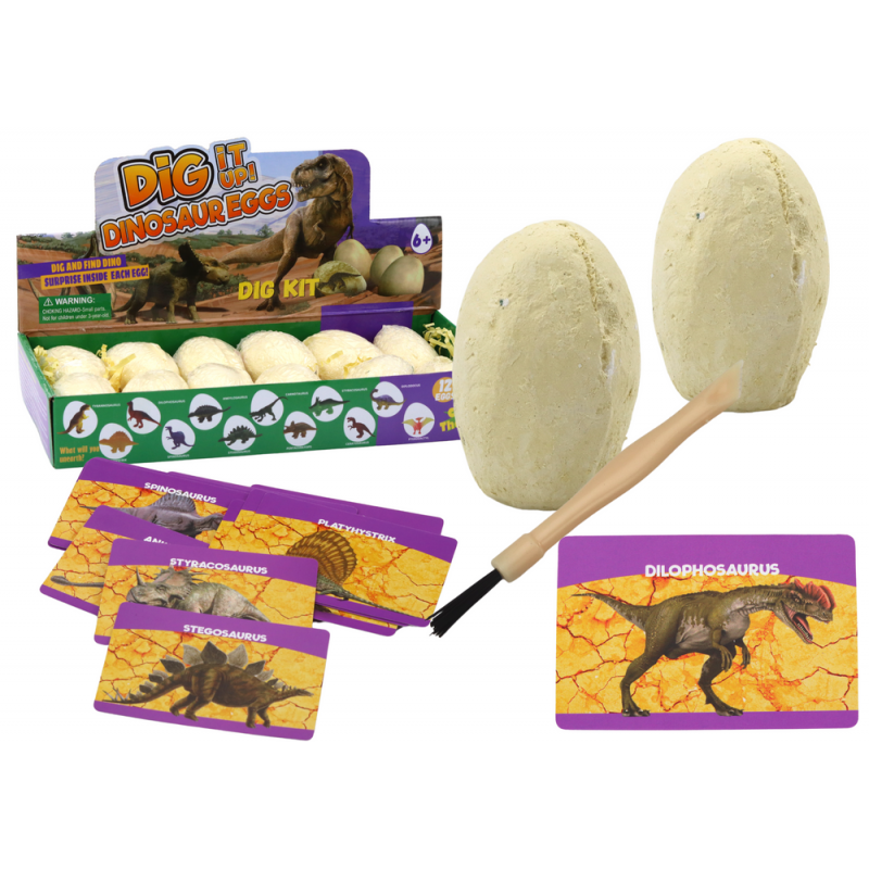 Archaeological Excavation Set Dinosaurs Eggs Cards 12 Pieces