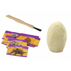 Archaeological Excavation Set Dinosaurs Eggs Cards 12 Pieces