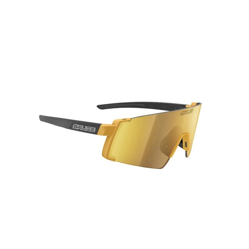 Salice 027RW glasses, gold