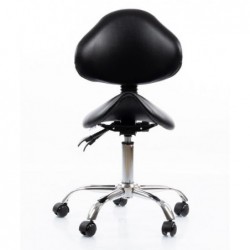 Salon Professional Chair...