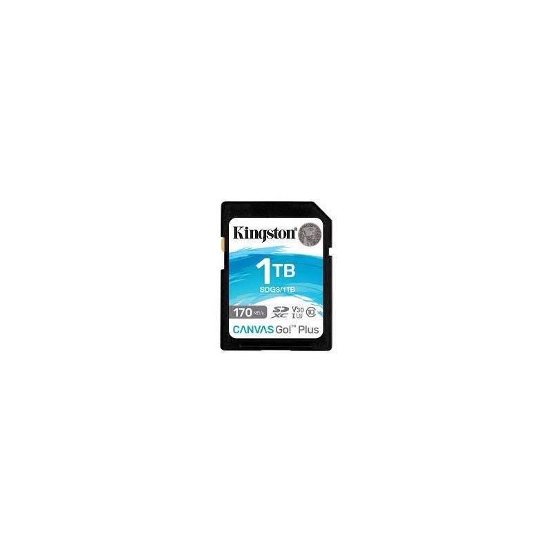 KINGSTON MEMORY SDXC 1TB UHS-I/SDG3/1TB