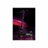 N65 Electric Scooter 500 W 25 km/h Black