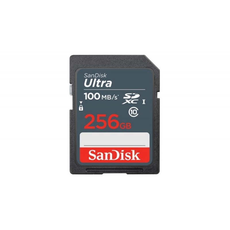 MEMORY SDXC 256GB UHS-I/SDSDUNR-256G-GN3IN SANDISK