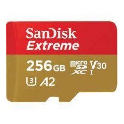 MEMORY MICRO SDXC 256GB UHS-I/SDSQXAV-256G-GN6GN SANDISK