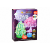 Creative Educational Kit for Growing Crystal Trees