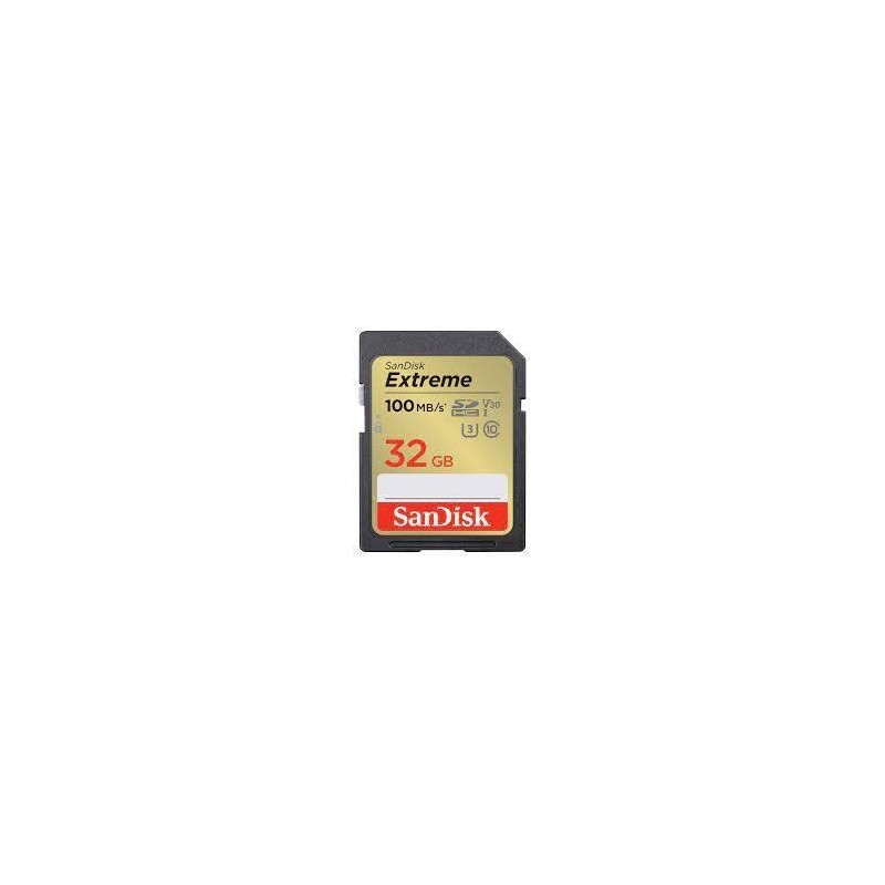 MEMORY SDHC 32GB UHS-1/SDSDXVT-032G-GNCIN SANDISK