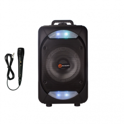 N-Gear Speaker The Flash 610 Bluetooth USB streaming Wireless connection