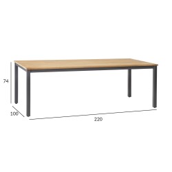 Table MONTANA 220x100xH74cm, teak