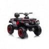 Quad Battery S615 Red 24V