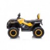 Quad Battery S615 Yellow 24V