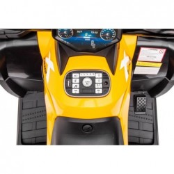 Quad Battery S615 Yellow 24V