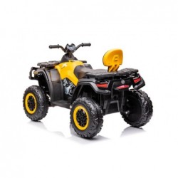 Quad Battery S615 Yellow 24V