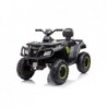 Battery-powered Quad S615 Moro Green 24V