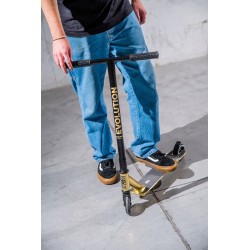 Stunt Scooter Raven Evolution Rookie Gold 100mm