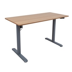 Desk ERGO LIGHT with 1 motor 120x60cm, silver grey oak